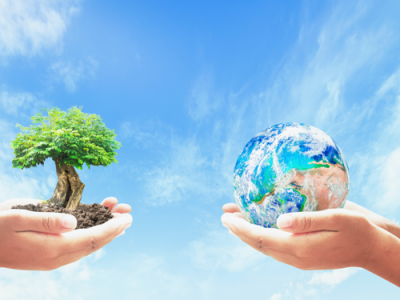 Committed to protect the environment Committed to protect the environment