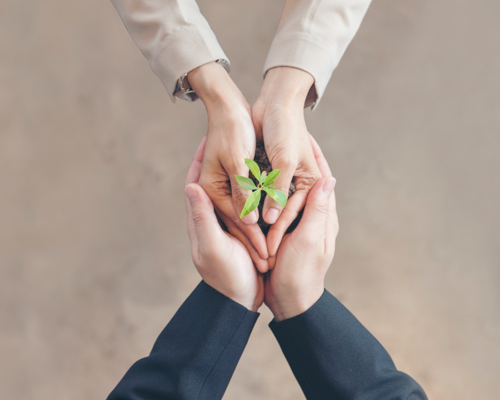 Sourcing Issues Handling Procedure Sourcing Issues Handling Procedure